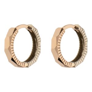 تصویر اصلی گوشواره حلقهای طلا 18 عیار زنانه گلدم مدل امگا تراشE-3070073